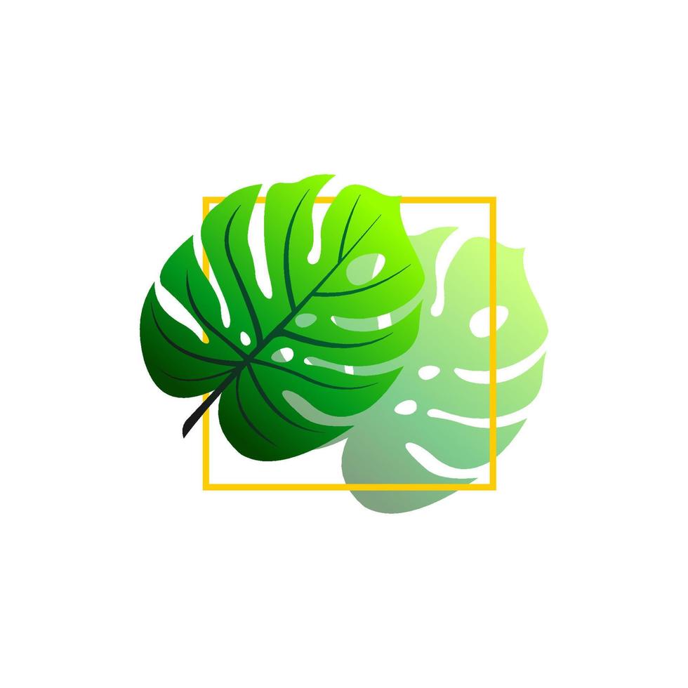 logotipo de hojas de plantas tropicales. diseño de logotipo de hojas de monstera. ilustraciones vectoriales. vector