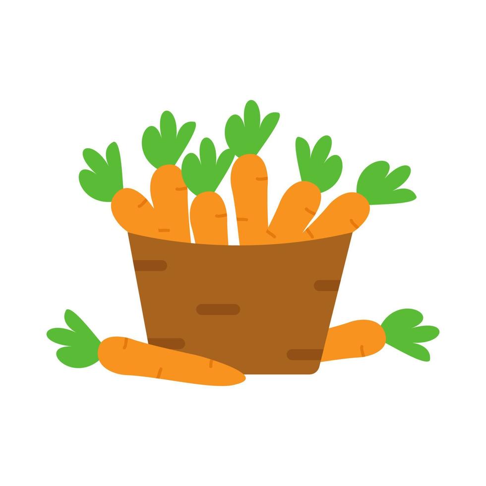 basket of carrot on white isolate background vector