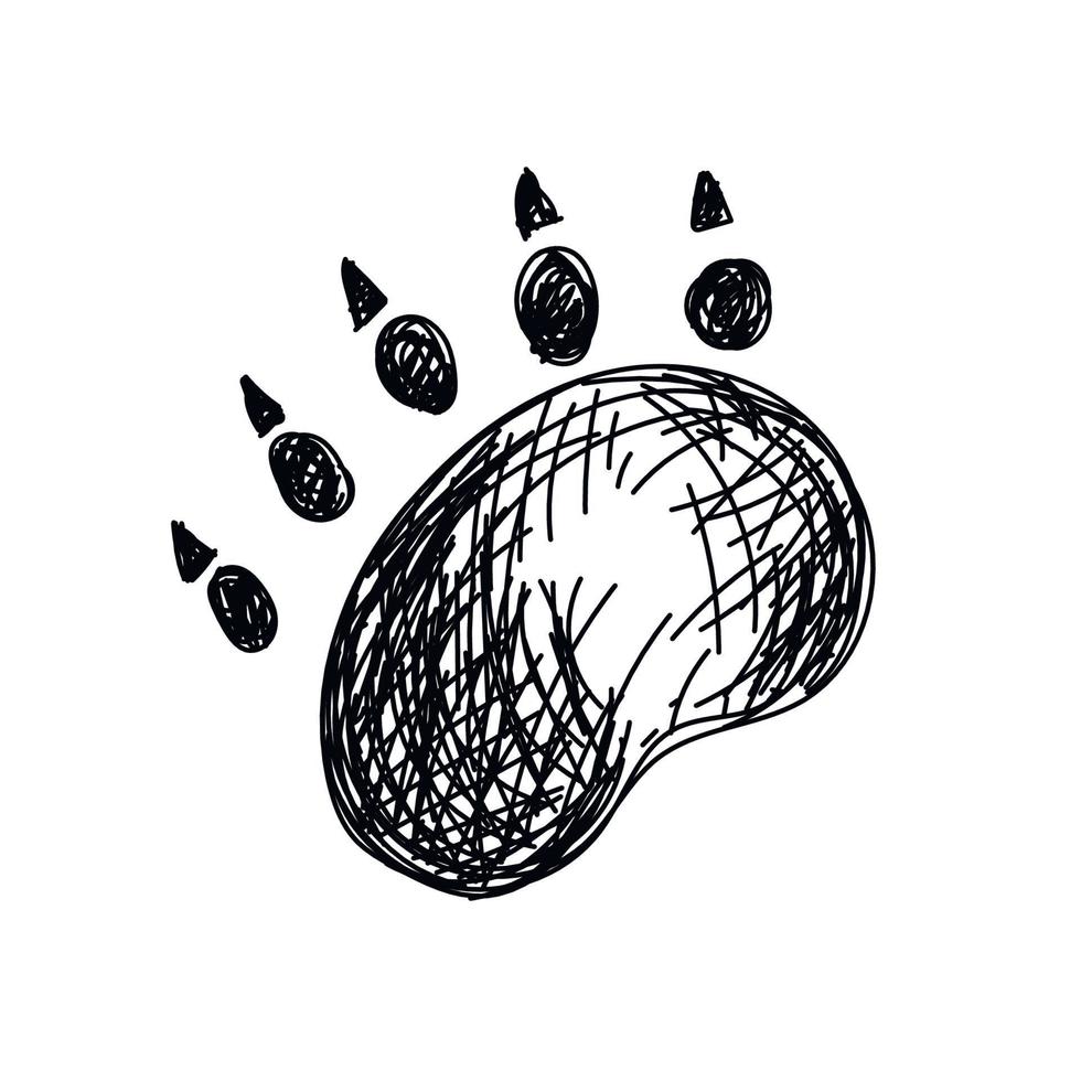 bear tracks, bear trail. Bear footprint. Wild animal paw in silhouette style. Black grizzly foot icon vector