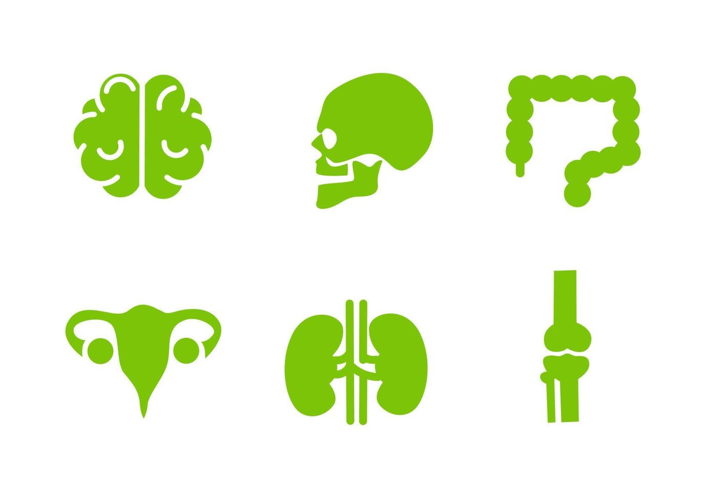 diseño vectorial, conjunto de iconos de órganos internos humanos vector