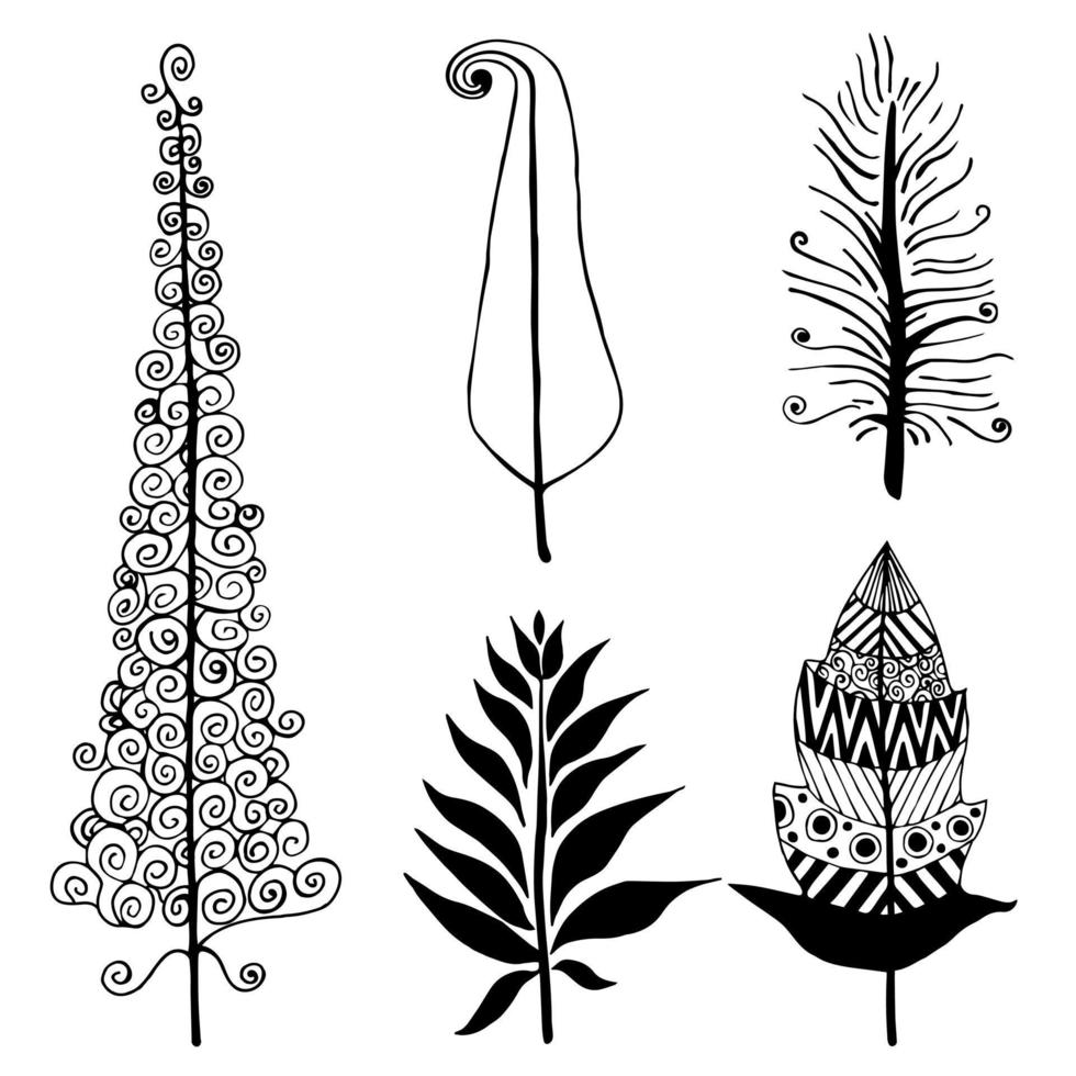 Bird feathers vector icons set. Isolated illustration of beautiful vintage feathers on a white background. Curly feather, ornamental feather. Simple black outline, silhouette. Doodle