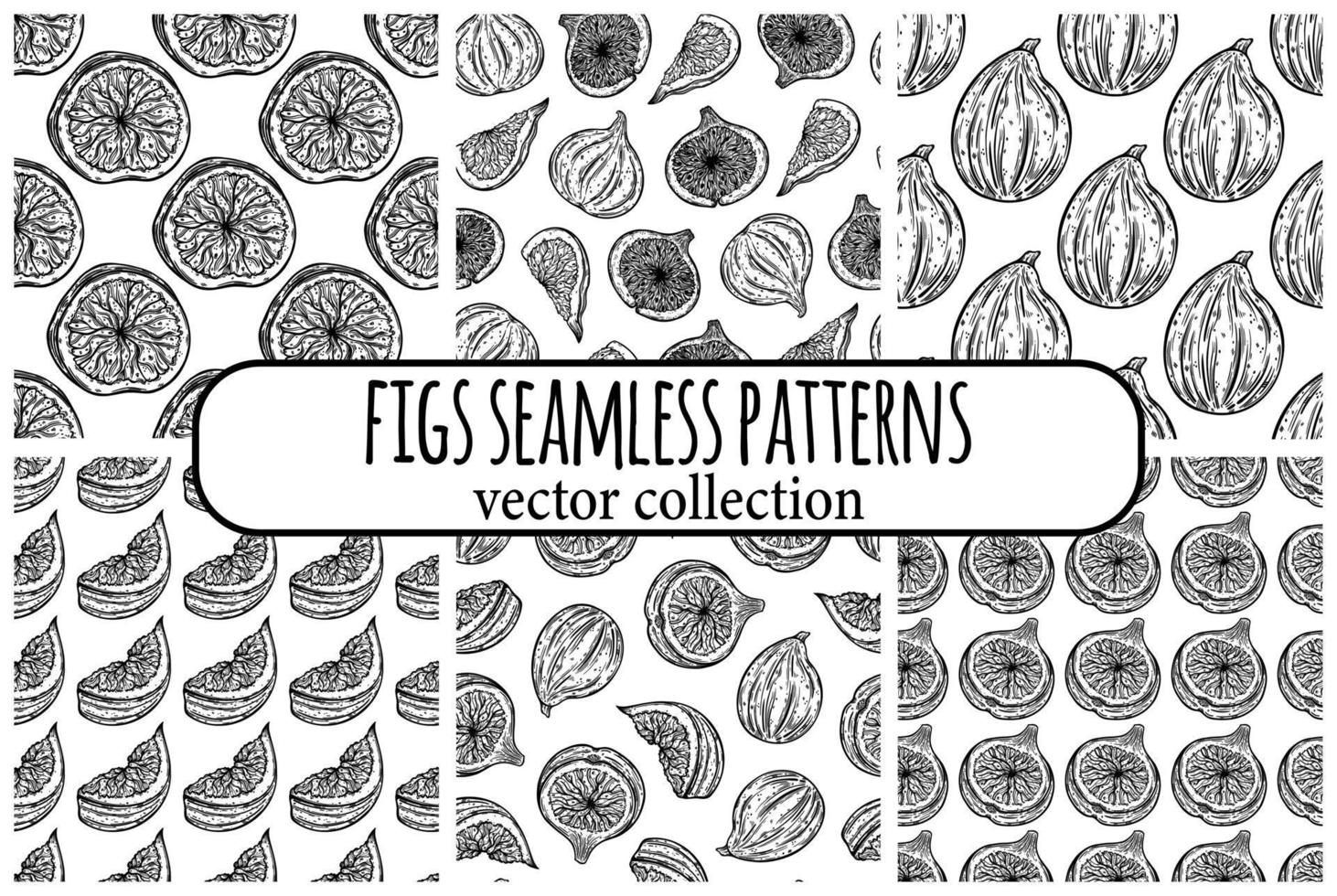 Figs collection of seamless vector patterns. Ripe garden fruits whole, half, slice. Sketch of mediterranean berry with sweet pulp, seeds. Monochrome outline of exotic plant. Hand drawn line art
