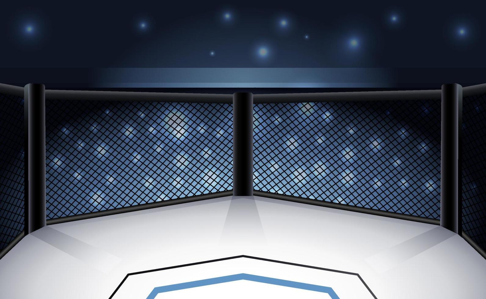 MMA Stage Background vector