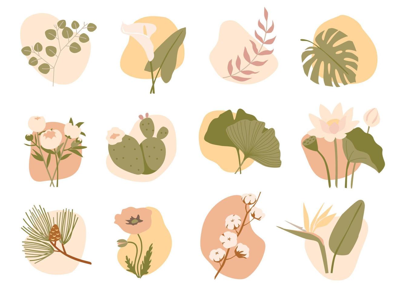 Set of Various Leaves and Flowers, abstract shapes. Minimalistic style. Vector stock illustration.