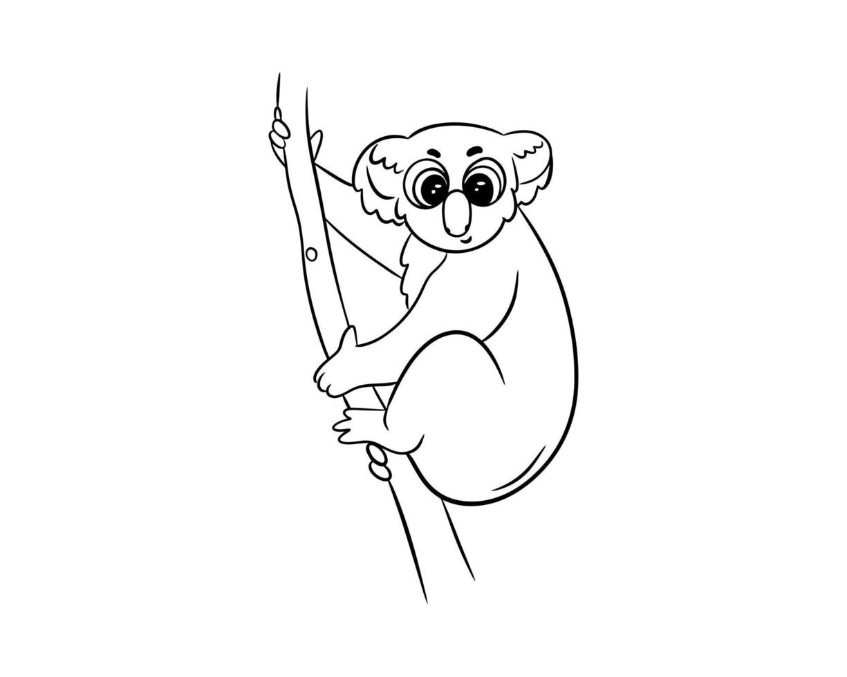 The koala is drawn with a black outline. Cute koala on a tree. Illustration for coloring, logo, sticker vector