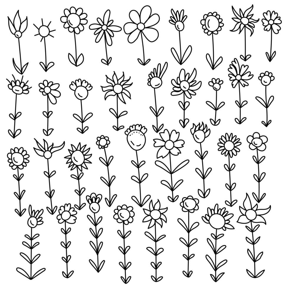 Set of contour doodle flowers with different types of petals, fantasy ornate plants for decoration vector