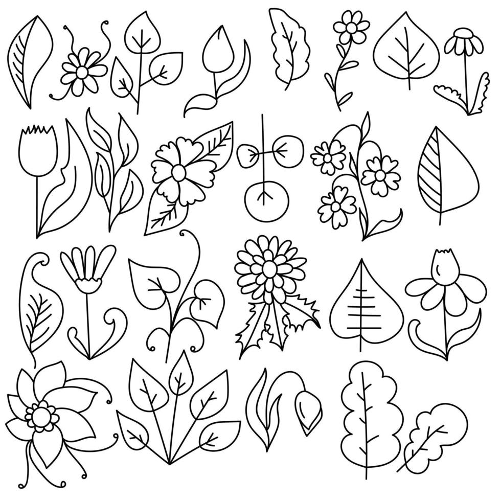 Doodle flowers and leaves set, botanical collection of contour elements for design vector