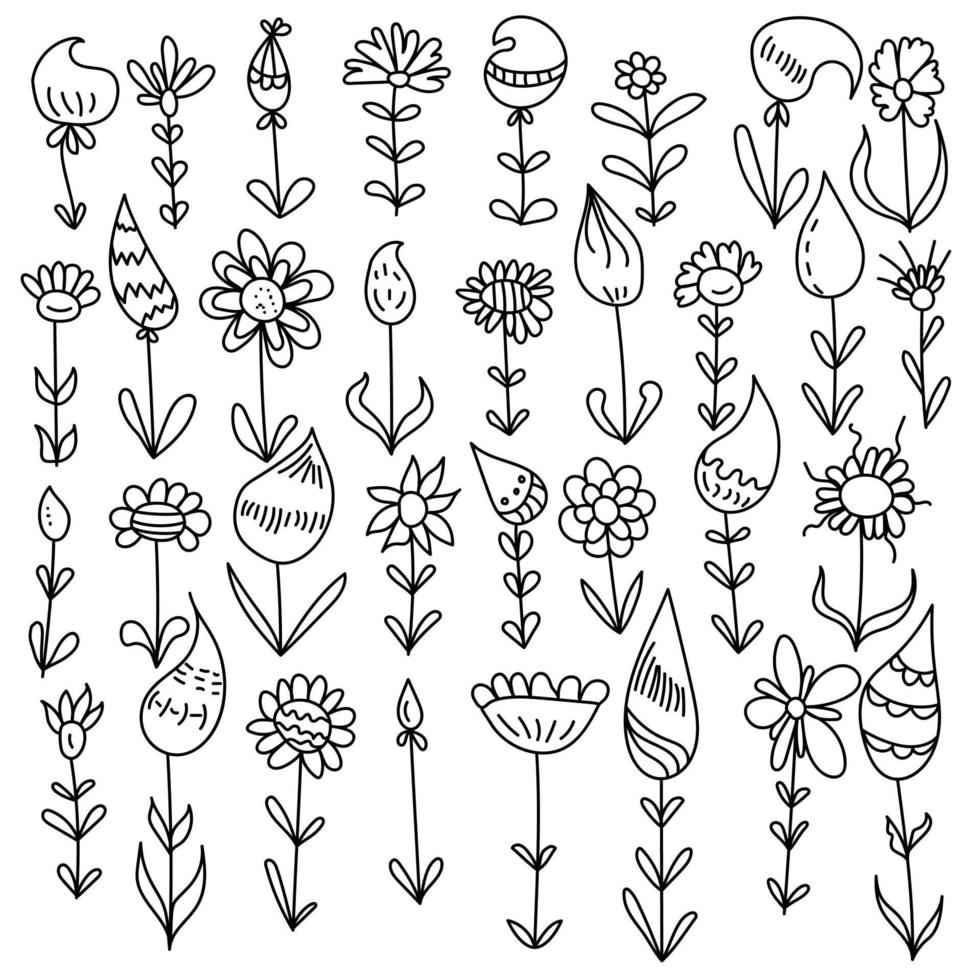 conjunto de flores de garabato con pétalos y hojas de fantasía, elementos florales para tarjetas, diseños, etc. vector