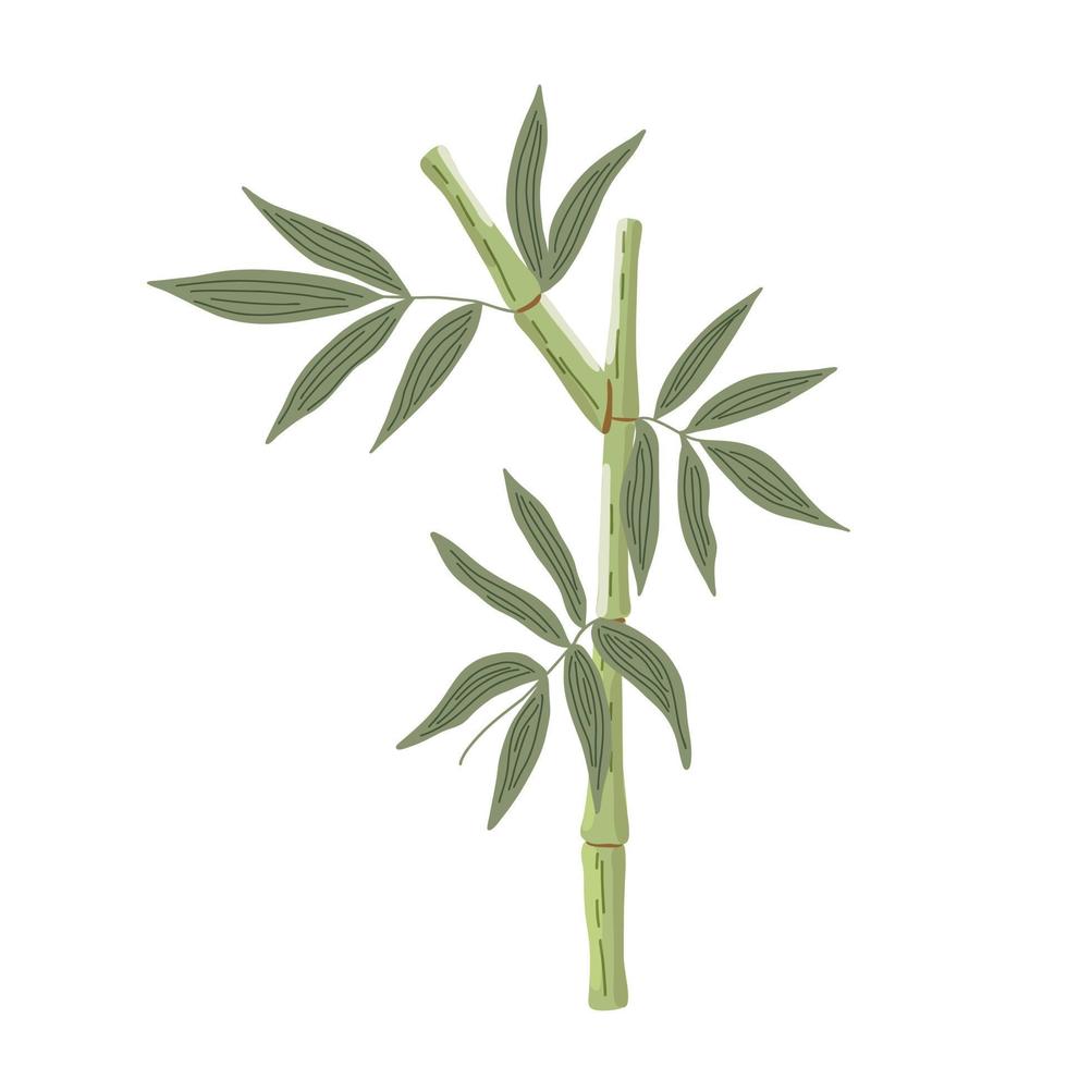 hojas de bambú ilustración vectorial de estilo plano simple, planta japonesa tradicional, adorno decorativo oriental para el diseño, tarjeta de felicitación, plantilla, banner, concepto zen vector