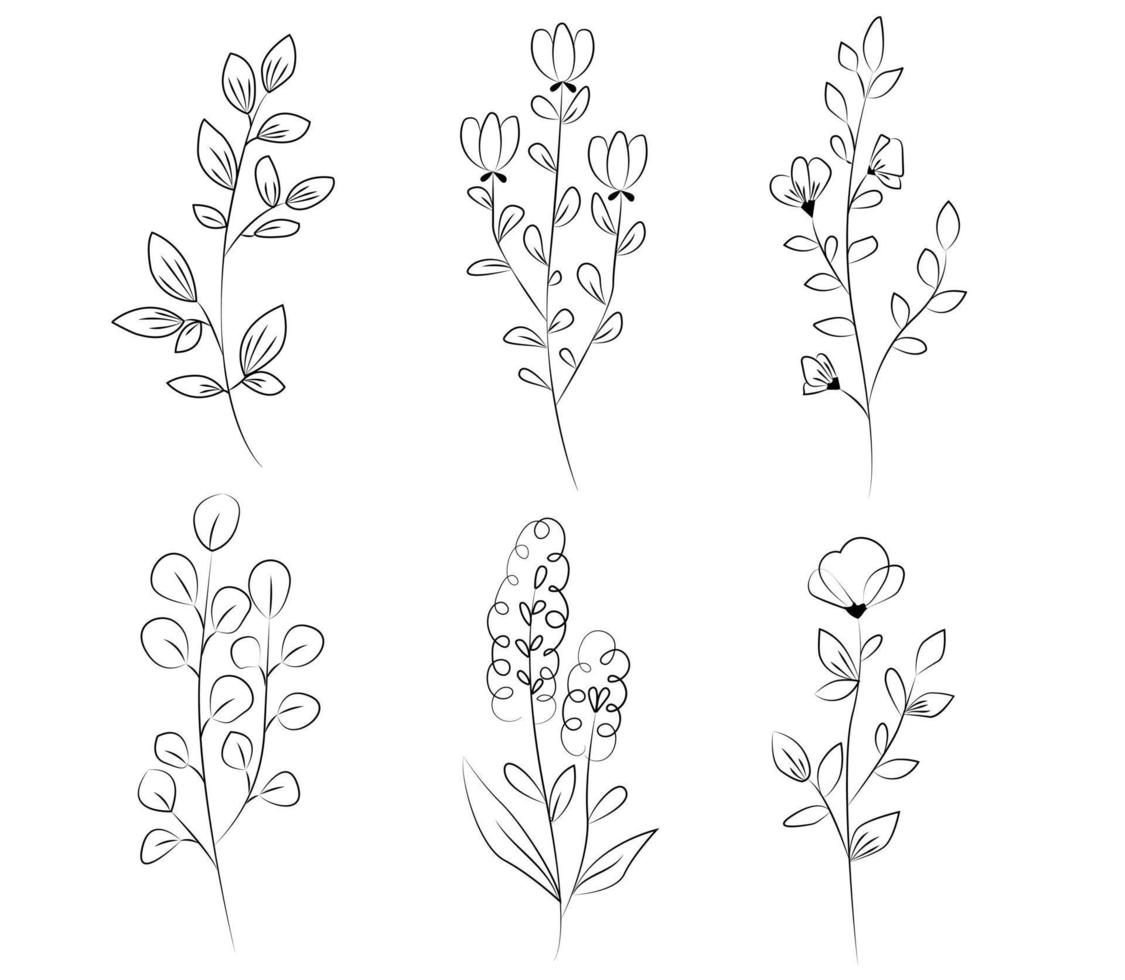 Hand painted line flower collection vector