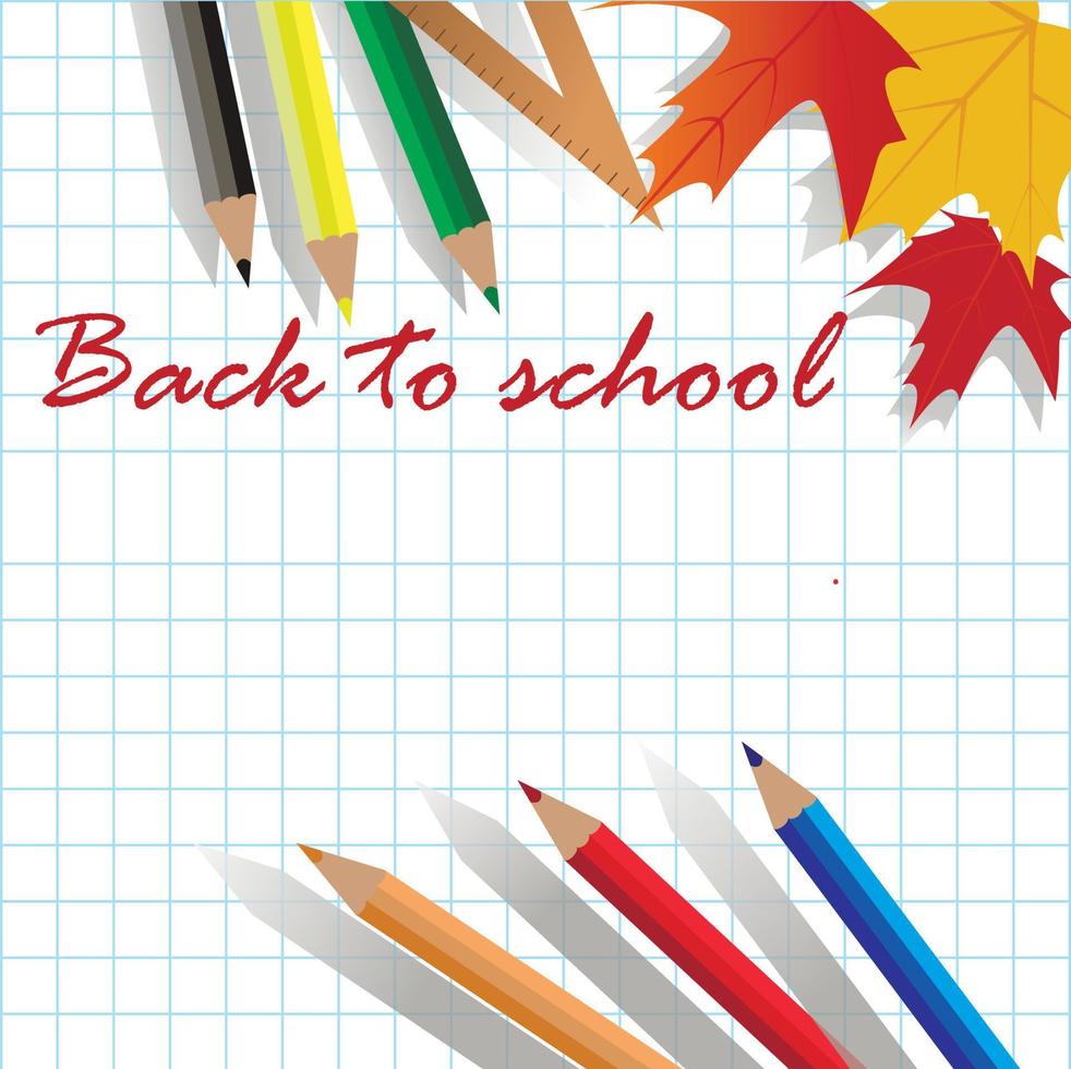Back to school card with pencils and maple leaves vector