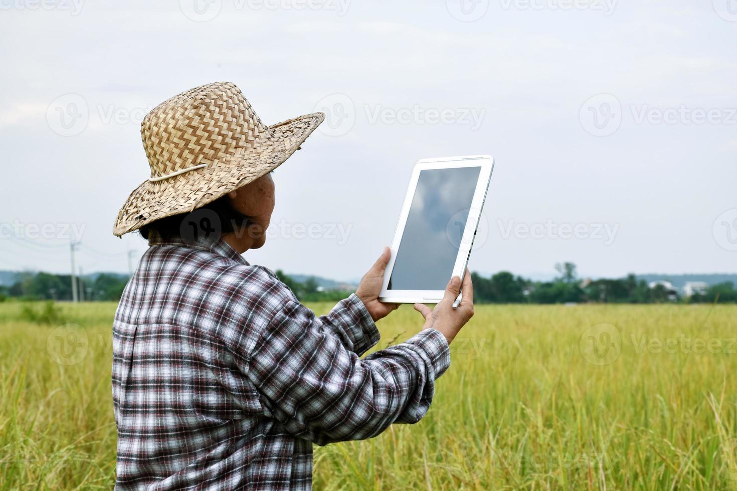 Portrait of asian senior elderly farmer who is holding smart phone and using it to connect to other people in the middle of rice field, smart devices in daily life of all general people concept. photo