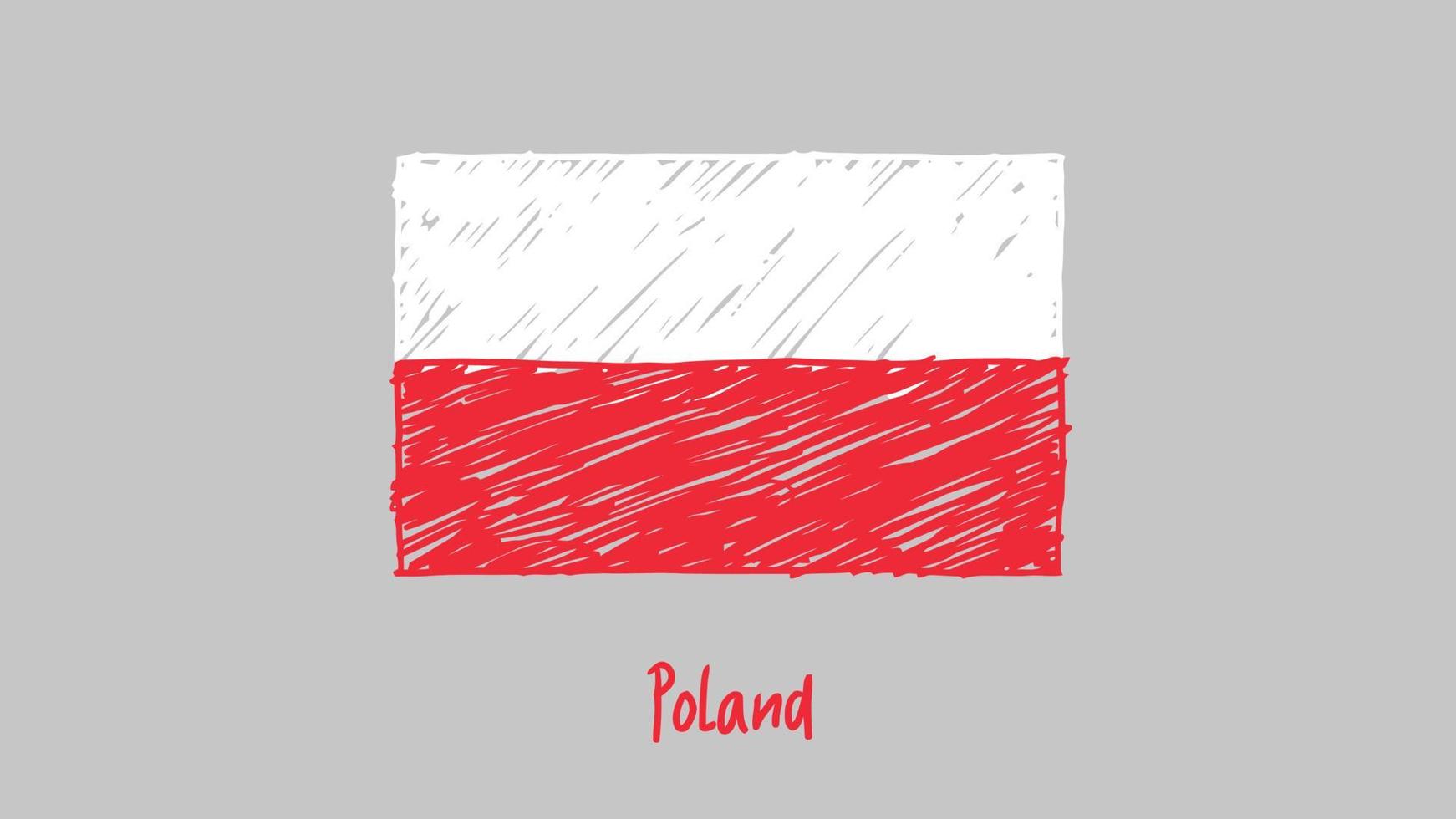 vector de ilustración de dibujo a lápiz o marcador de bandera de país nacional de polonia