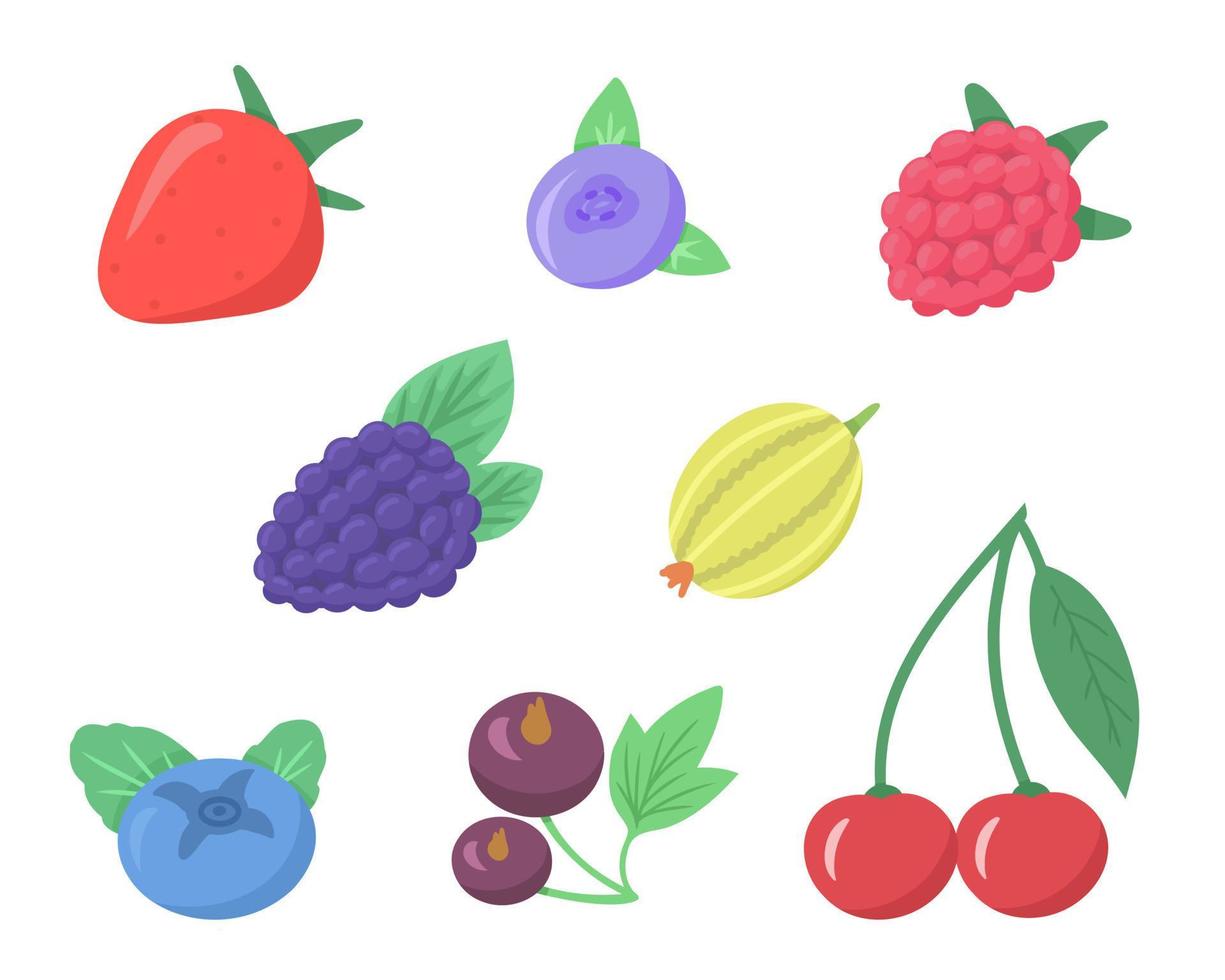Berry set. Strawberry, gooseberry, blueberry, currant, cherry, blackberry and raspberry. Illustration for backgrounds, packaging, greeting cards and posters. Isolated on white background. vector
