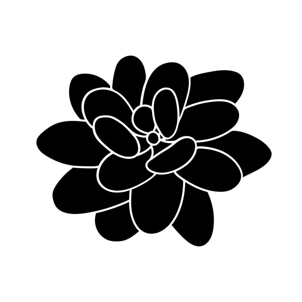 Succulent echeveria in simple style, vector illustration. Desert flower for print and design. Silhouette mexican plant, graphic isolated element on a white background. Houseplant for decor interior