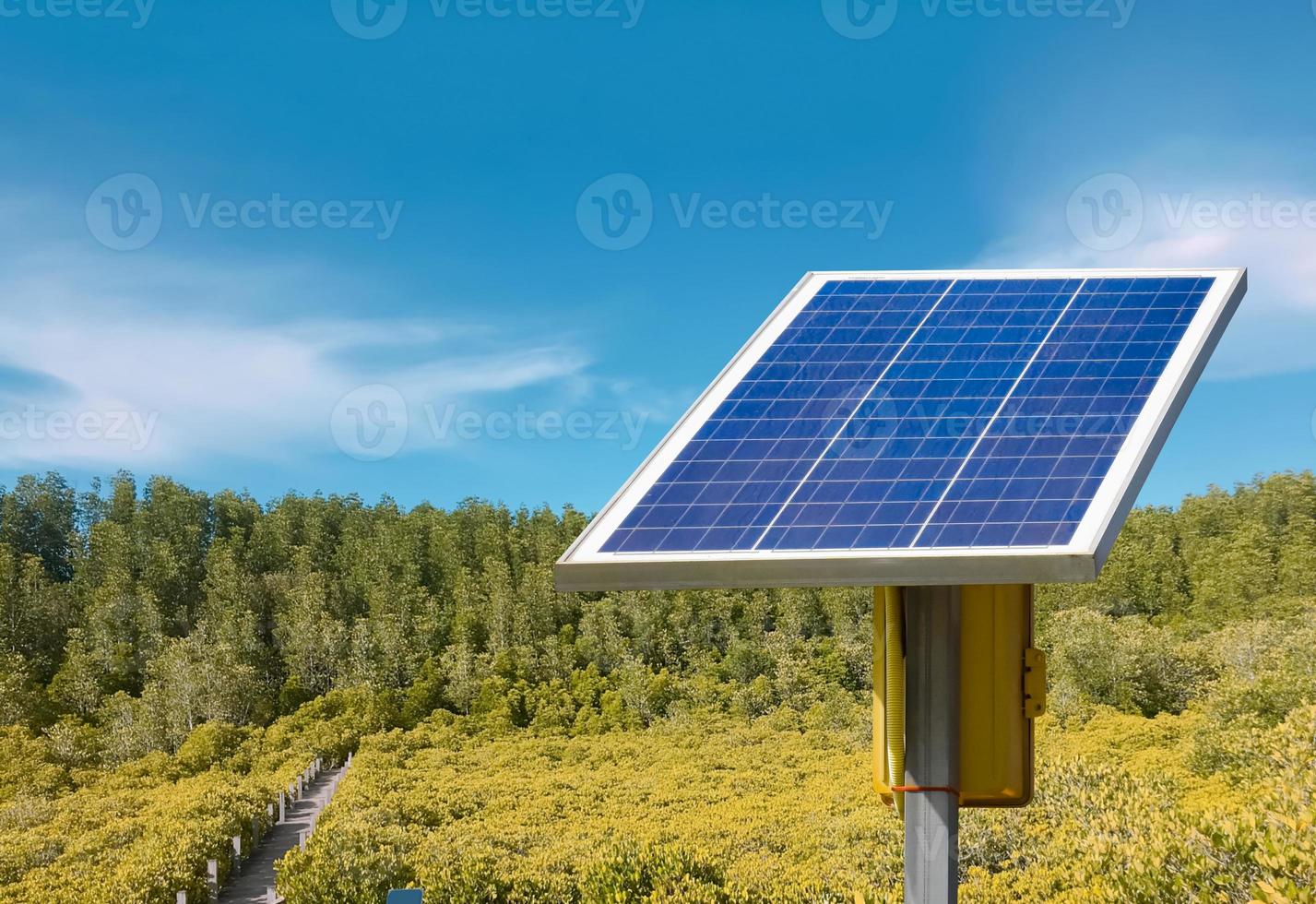 panel fotovoltaico, nueva tecnología para almacenar y utilizar la energía de la naturaleza con la vida humana, la energía sostenible y el concepto de amigo del medio ambiente. foto