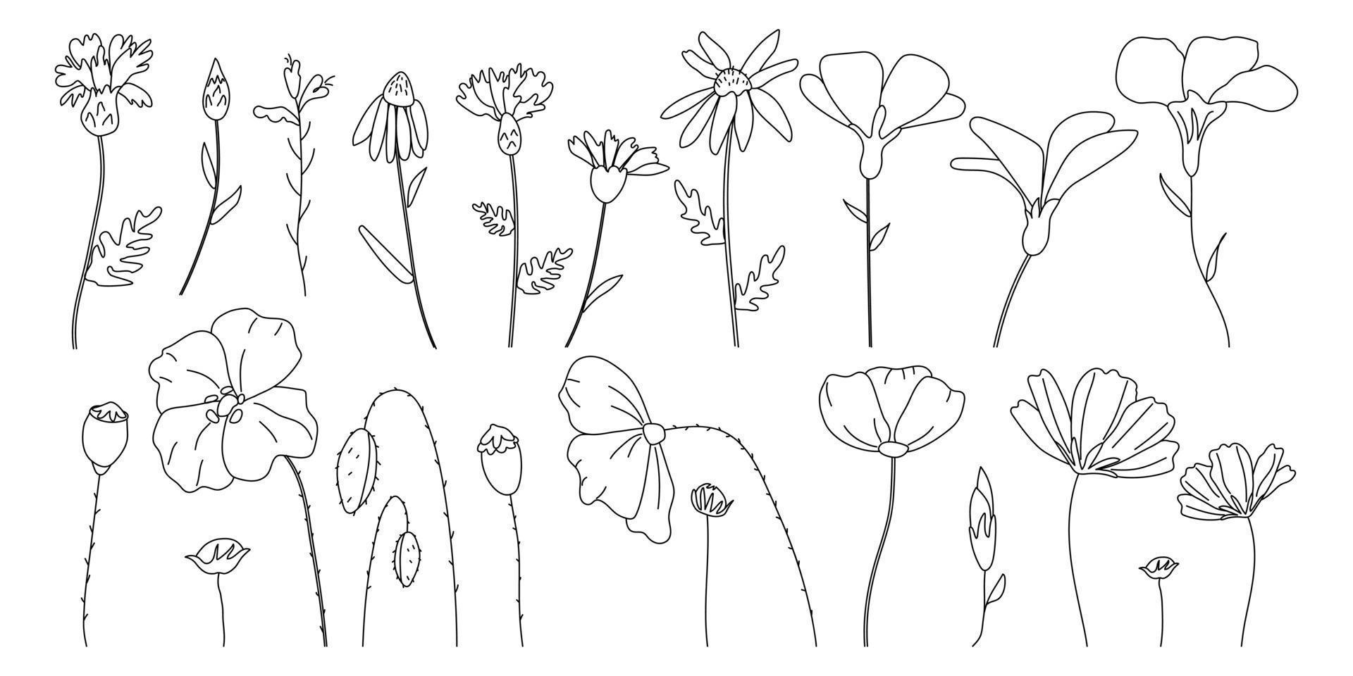 A set of wild flowers vector