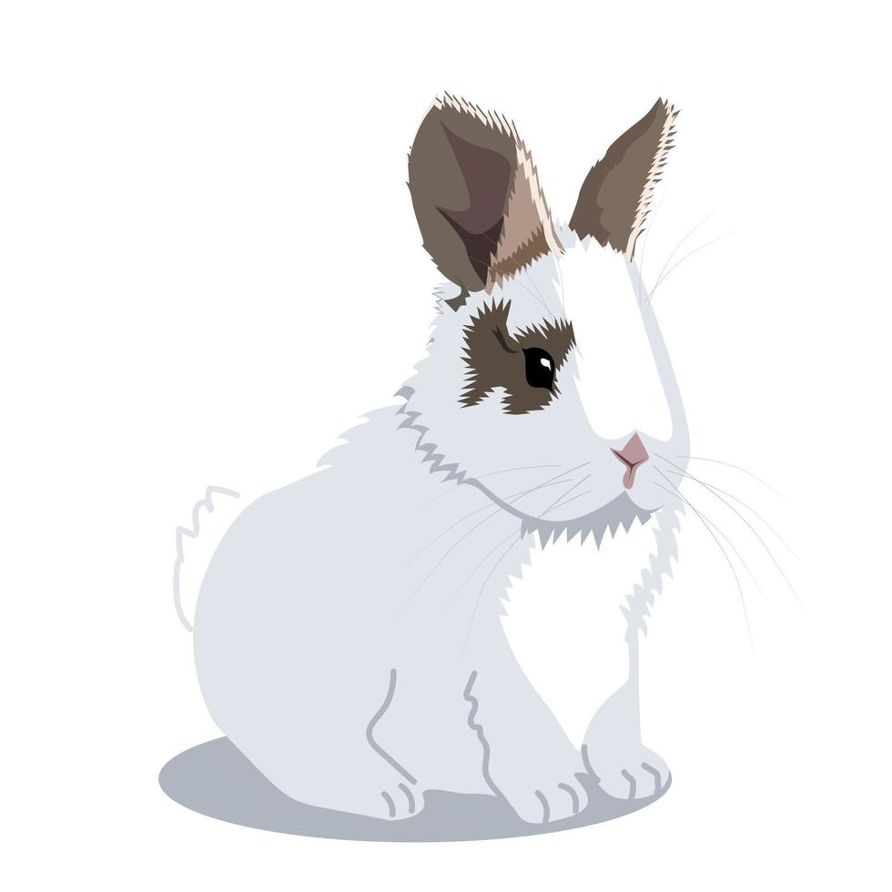 lindo conejo blanco vector