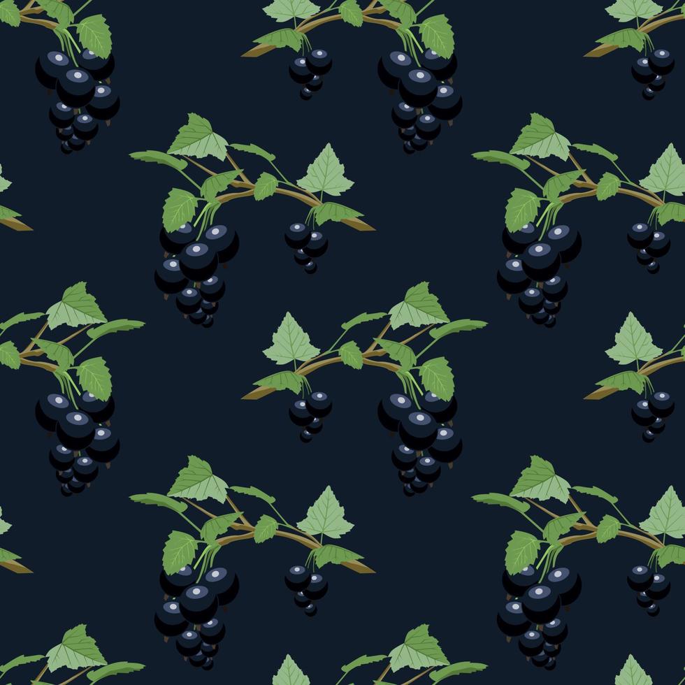 Summer pattern of black currant branches vector