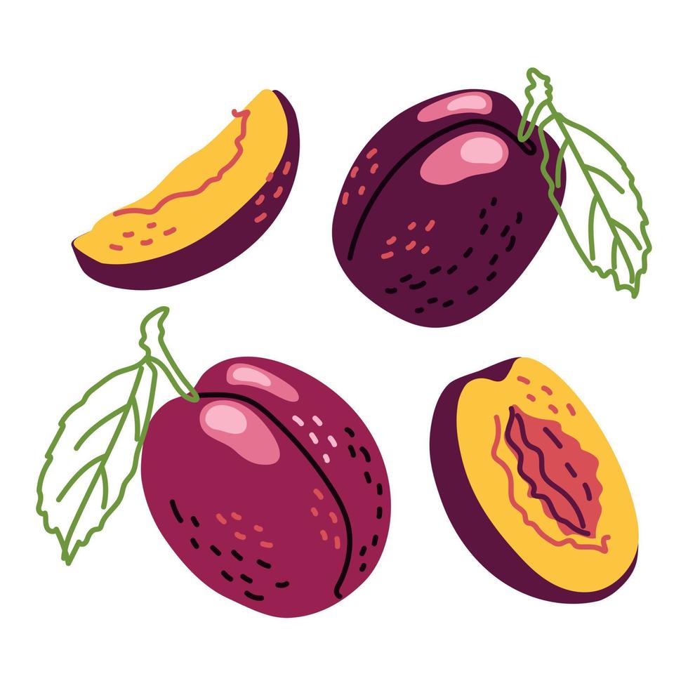 A group of ripe burgundy plums vector