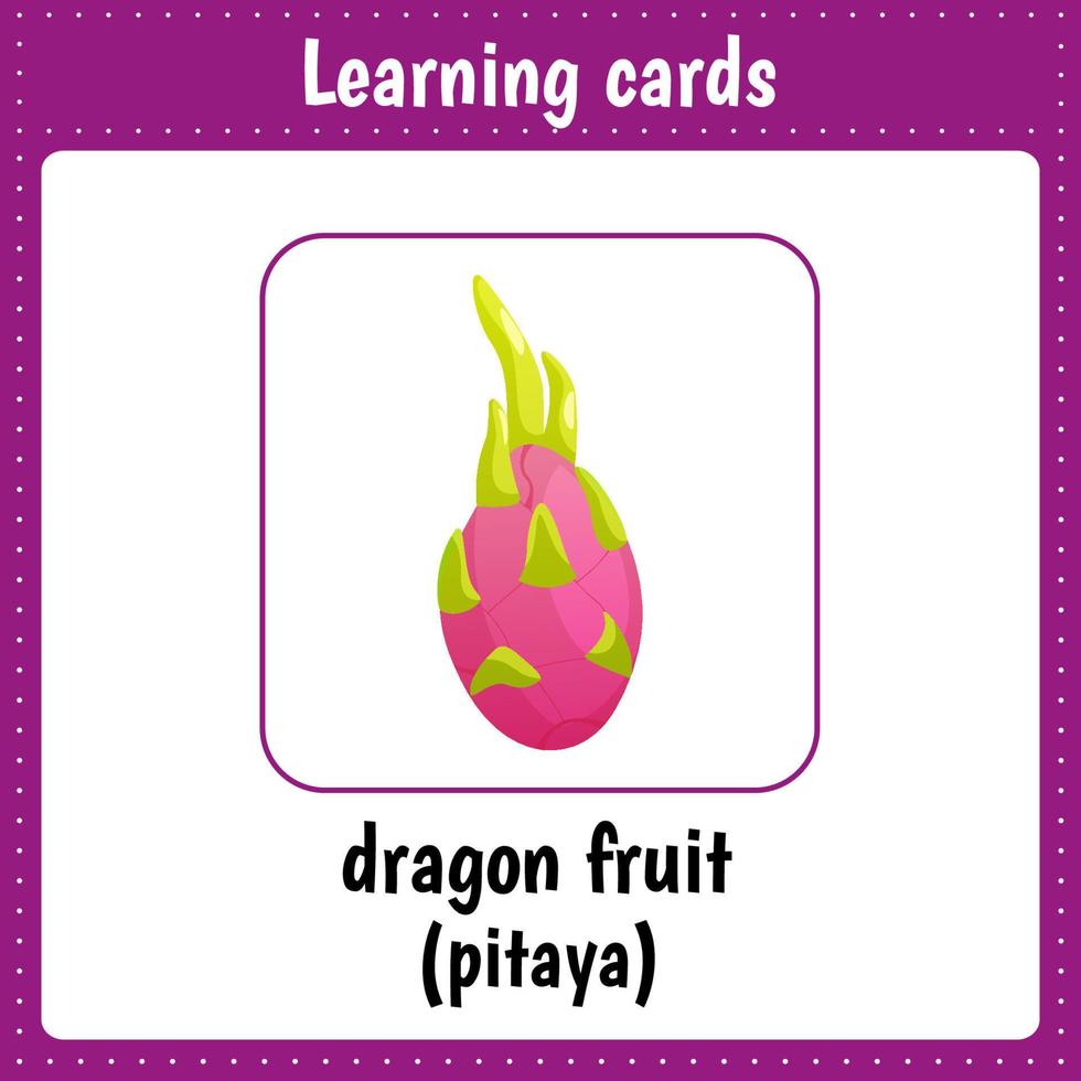 Learning cards for kids. Fruit. Dragon fruit. Pitaya. vector