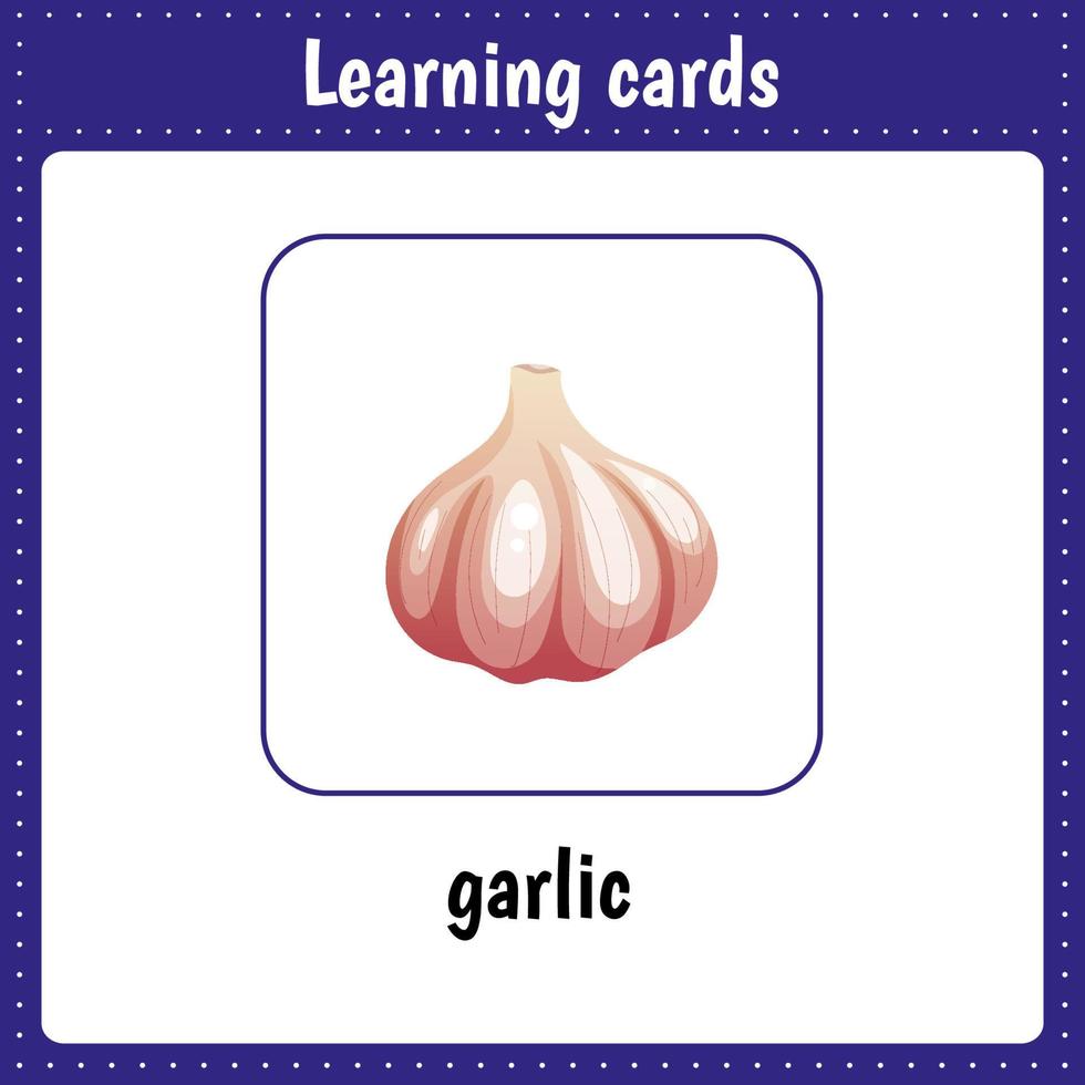Learning cards for kids. Vegetable. Garlic. vector