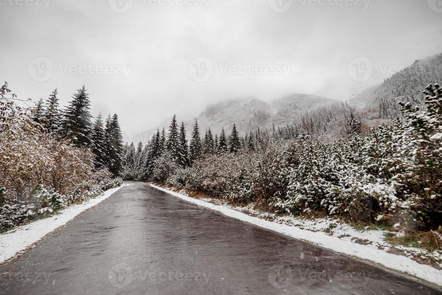 scenic view of the road with snow and mountain and giant trees background in winter season. Morske Oko photo