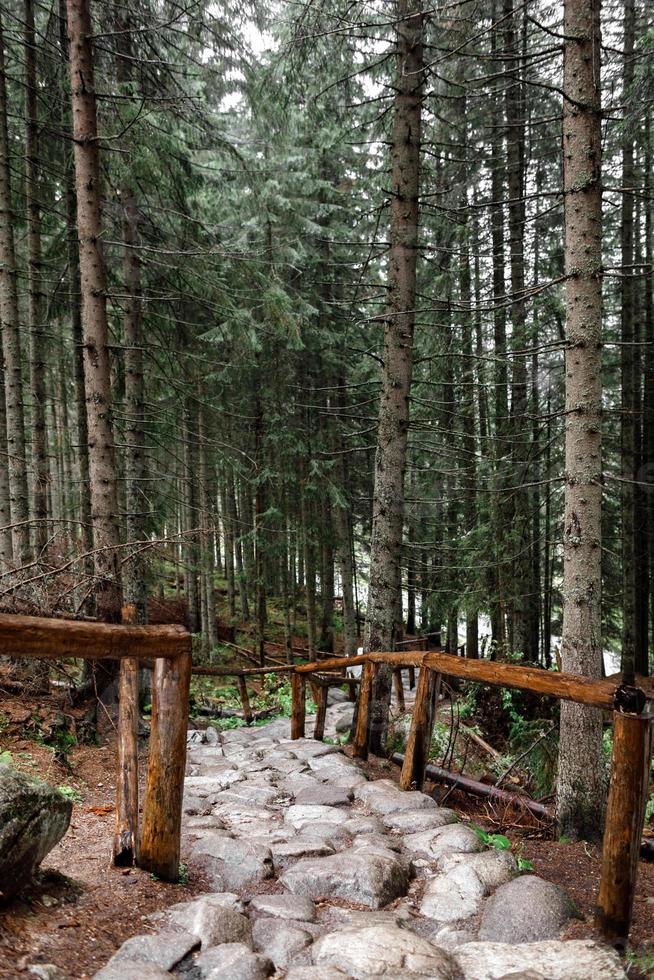 camino de piedra en un bosque en las montañas. morske oko, polonia, europa foto