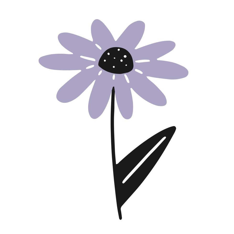 Chamomile in linear doodle style. Vector isolated floral illustration.