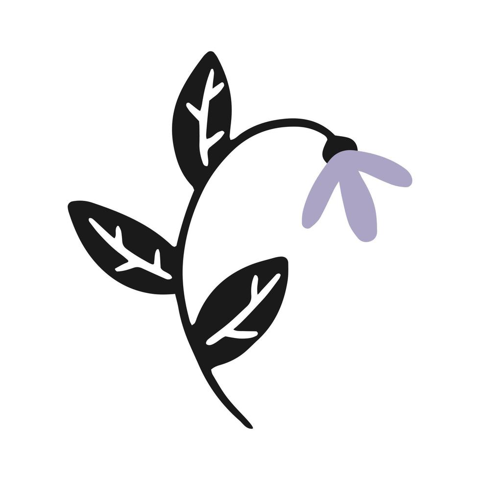 Cute snowdrop flower with leaves in a simple doodle style. Vector isolated floral illustration.