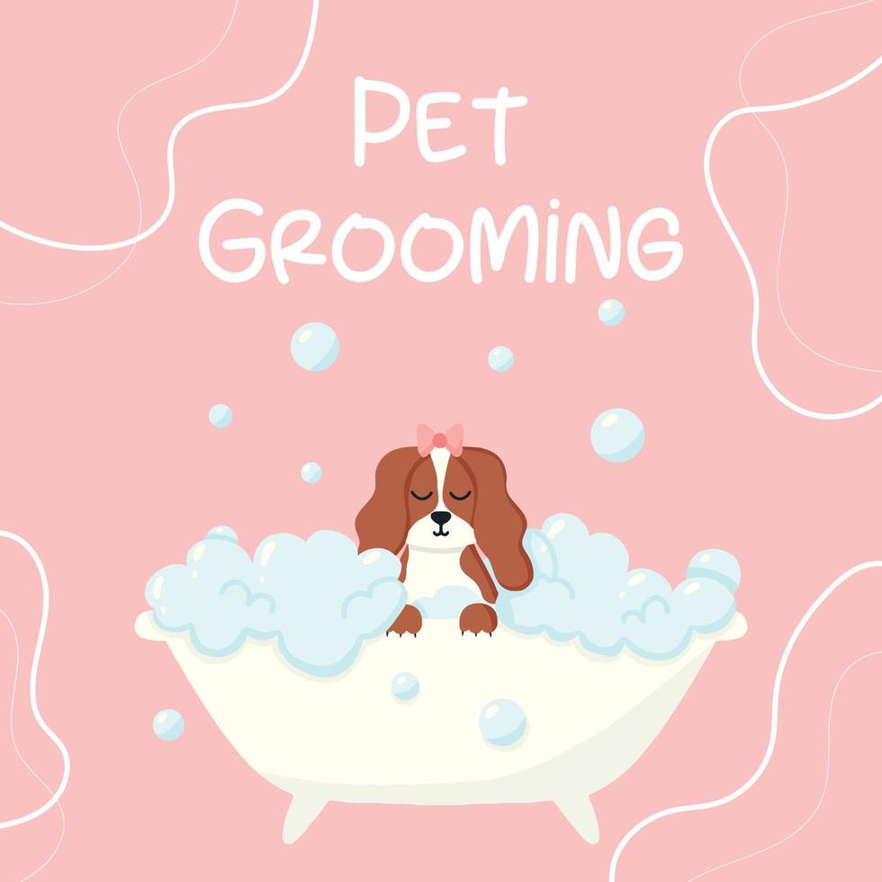 salón de belleza. banner para salón de belleza. ilustración vectorial en estilo de dibujos animados. lindo spaniel en un baño de burbujas. cuidado de mascotas. vector