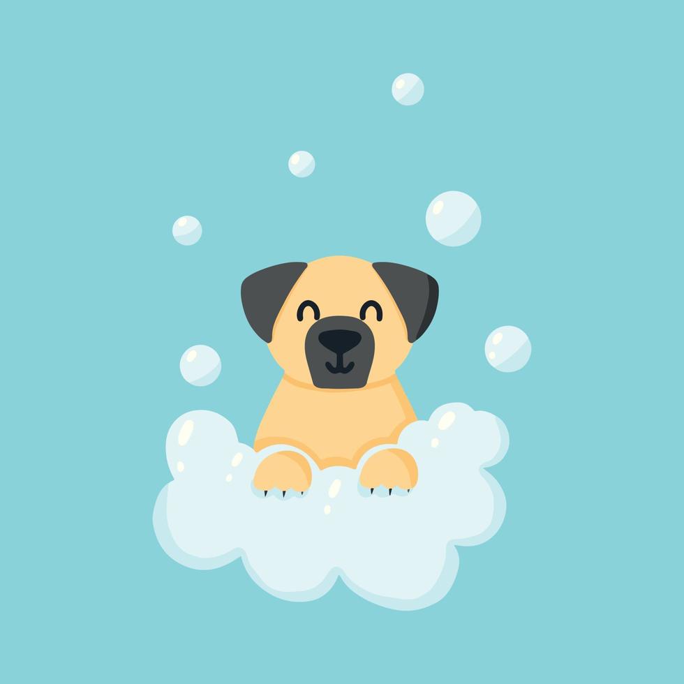 Cute dog in the foam. Pug with bubbles. Pet care. Vector illustration in cartoon style.