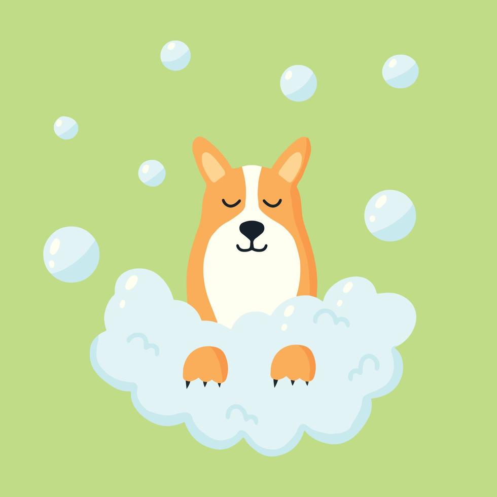 lindo perro en la espuma. corgi con burbujas. cuidado animal. ilustración vectorial en estilo de dibujos animados. vector