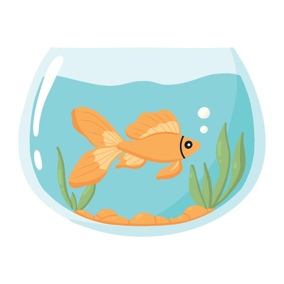 Goldfish in an aquarium. Vector illustration . Domestic fish in a round aquarium. Aquarium with algae.