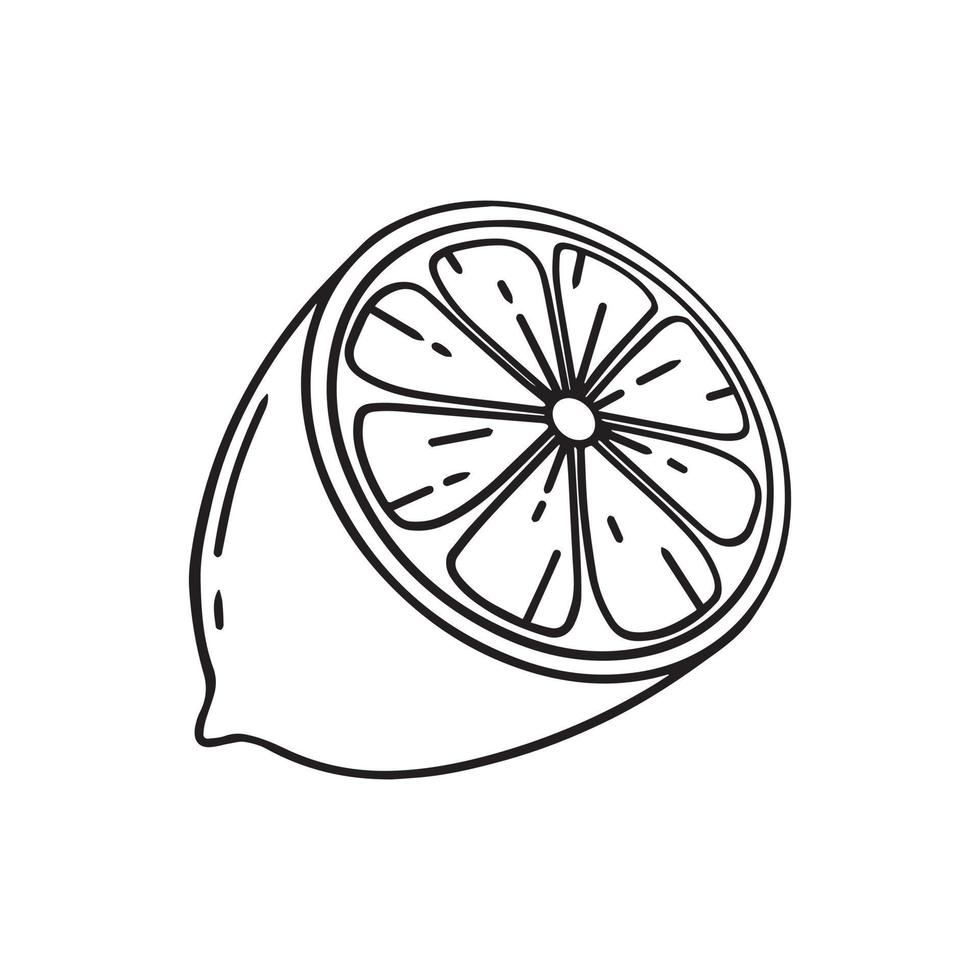 Half a lemon. Doodle style. Vector illustration. Half lime. Lemon slice.