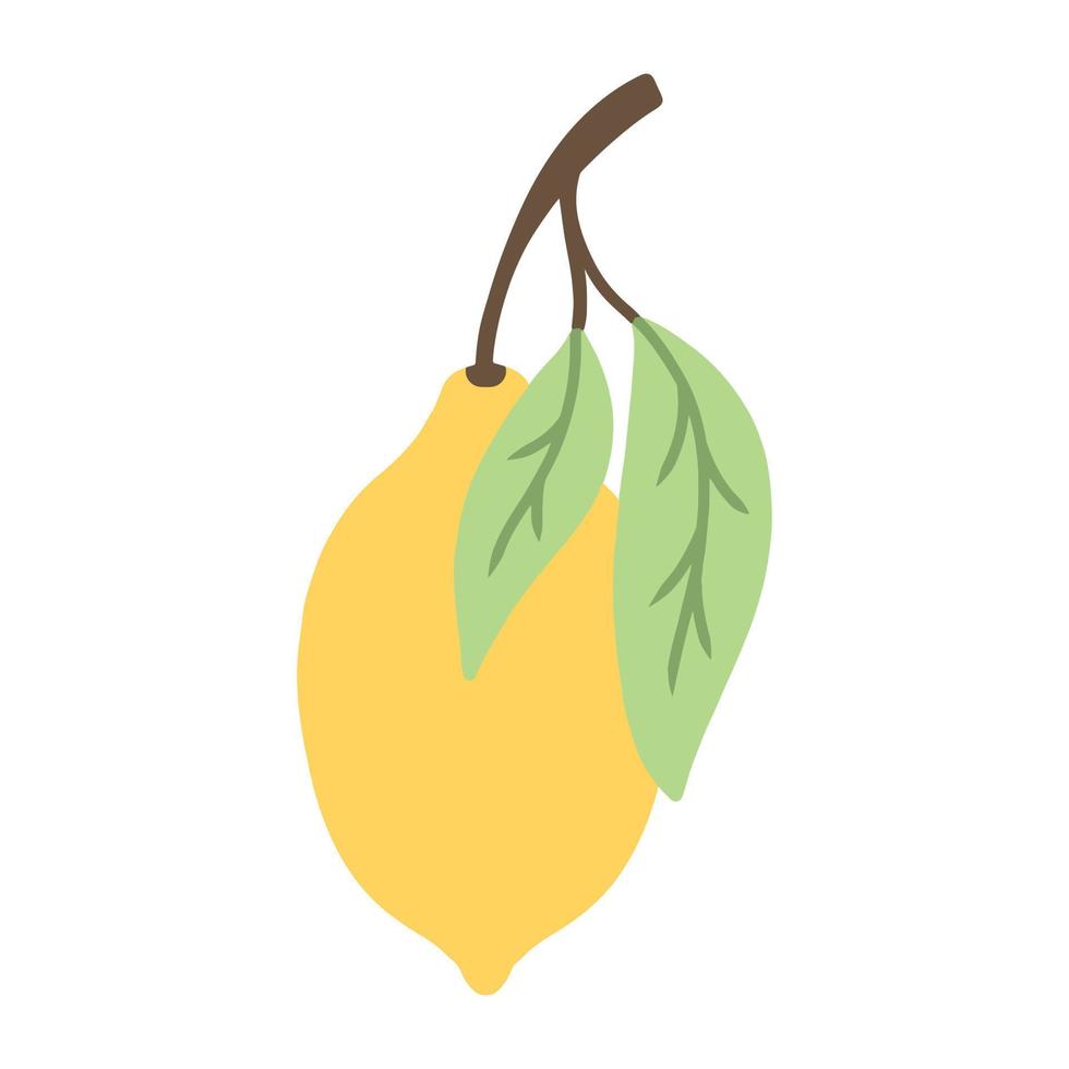 Branch with lemons. Lemons with leaves. Vector illustration. Lime illustration.