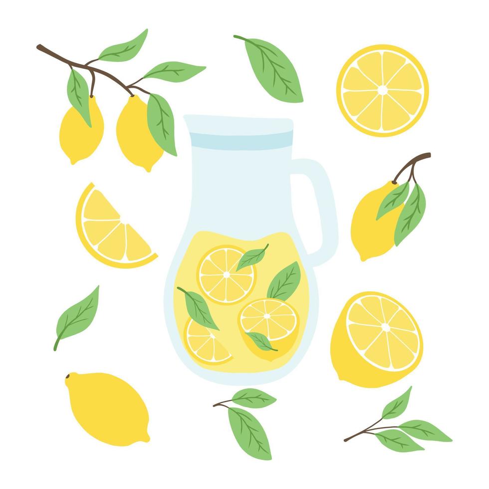 Jug with lemonade. Lemonade with lemon slices and mint. Homemade drink. Vector illustration in cartoon style.