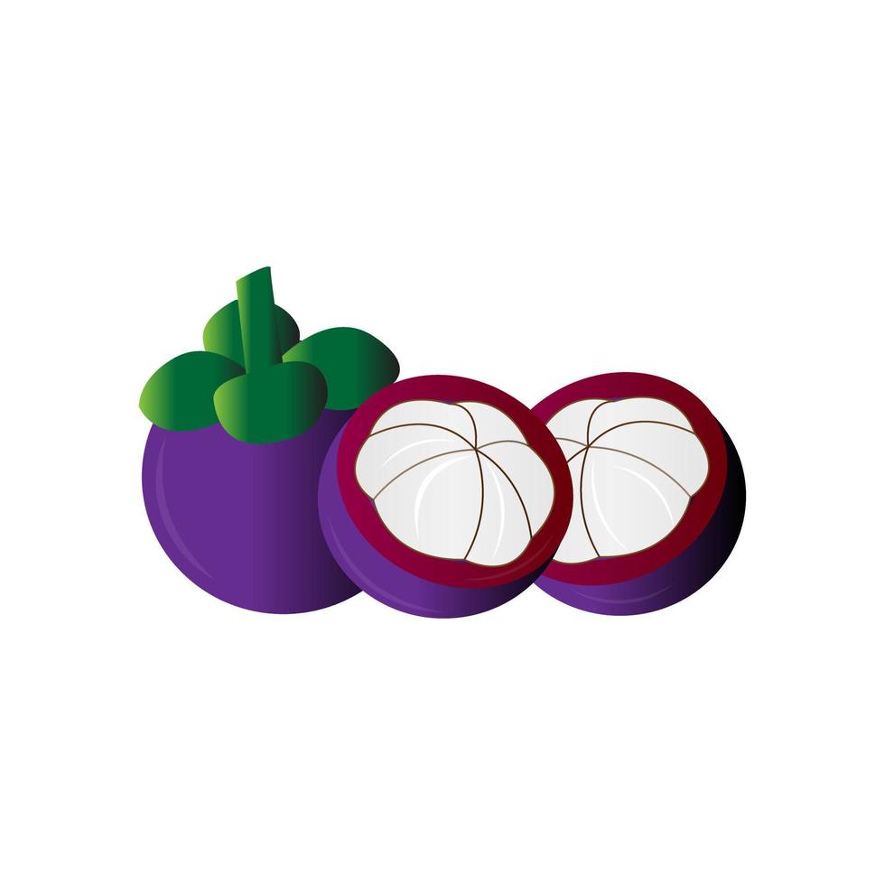 cute mangosteen  fruit illustration design vector