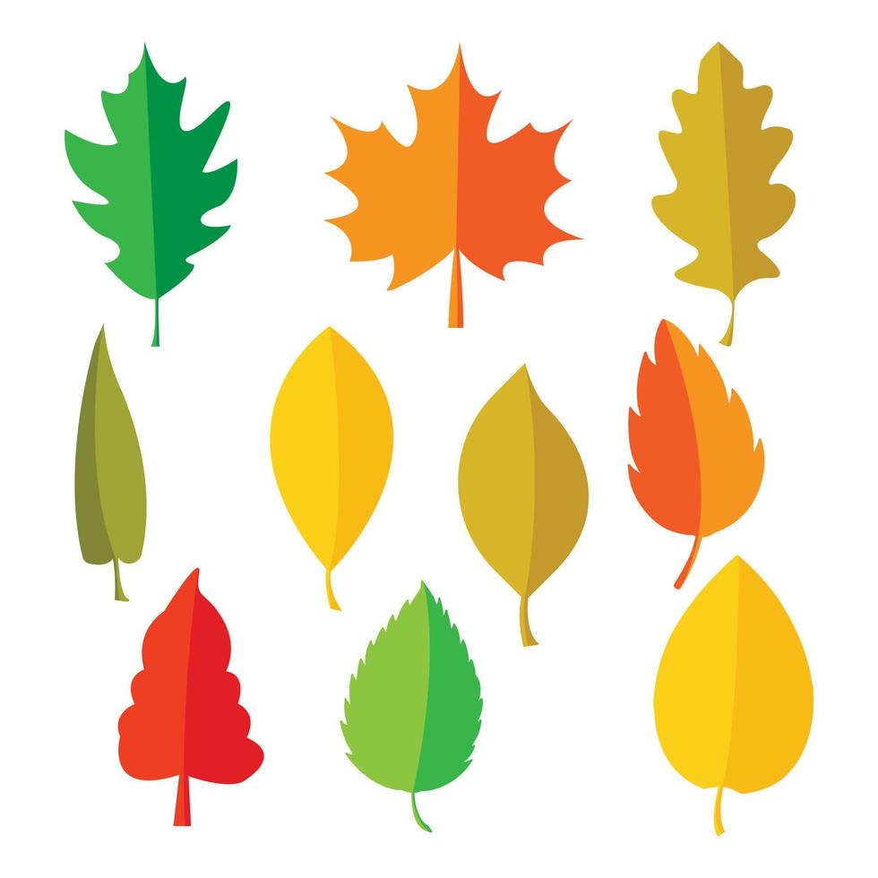 cute leaf shape illustration vector