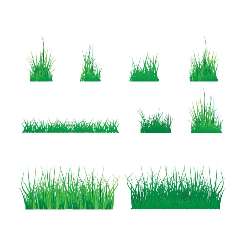 lindo diseño de ilustración de hierba vector