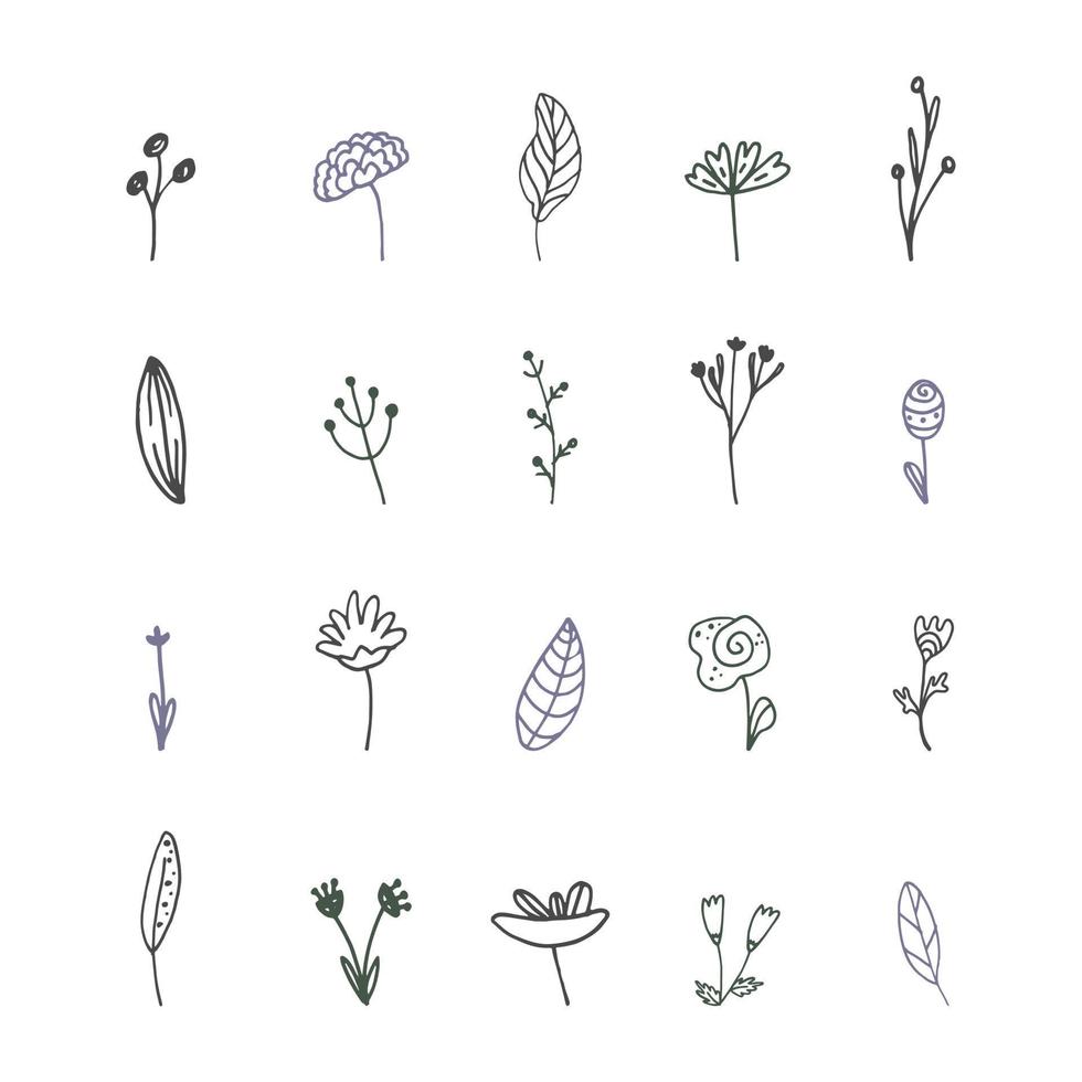 set of stylized doodle plants. Vector illustration, hand-drawn
