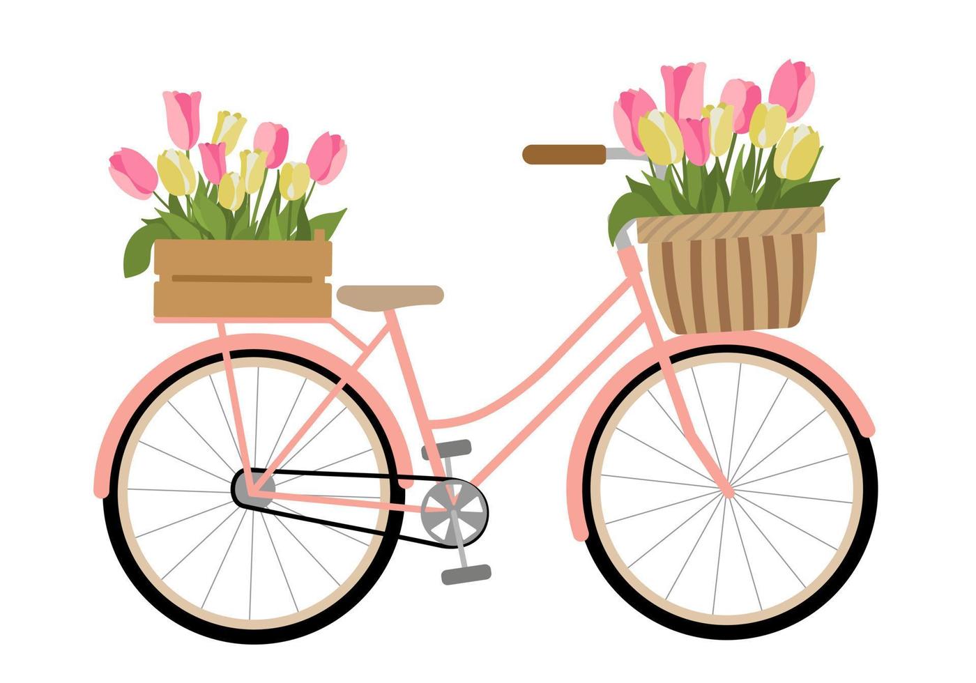 Cute hand drawn bicycle with crate and basket. Isolated on white background. Bike carrying baskets with flowers and plants. Vector flat illustration. Retro vehicle with flower bouquet.