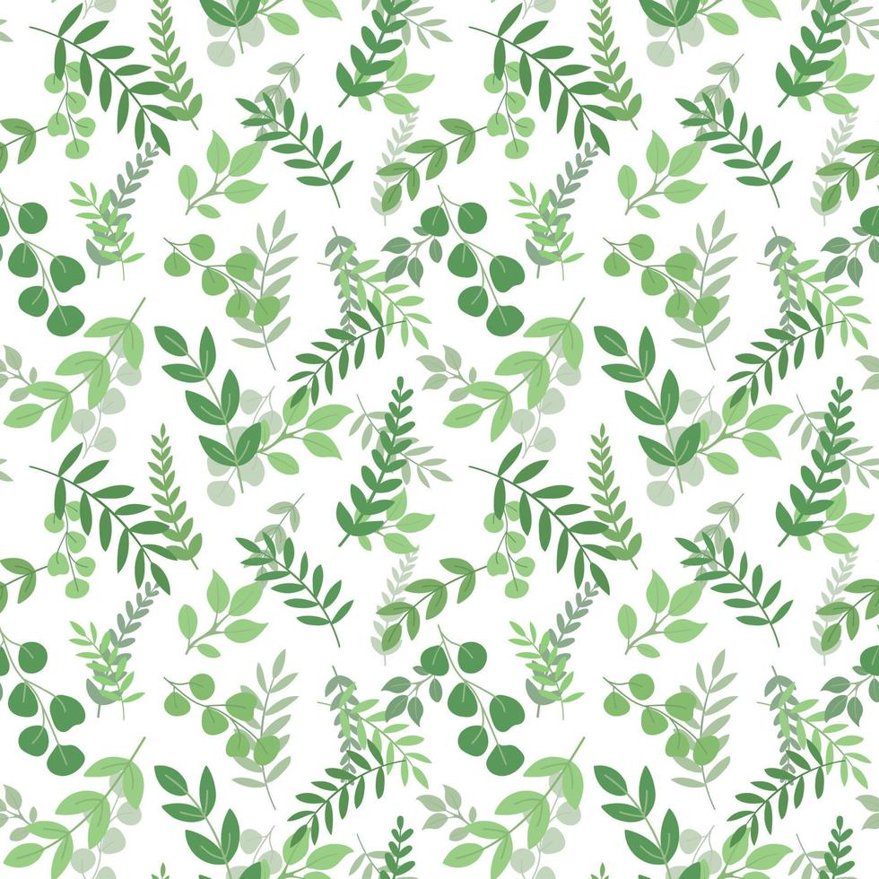Cute green foliage seamless pattern. Isolated on white background. Rustic ecofriendly background. Spring branches and leaves. vector