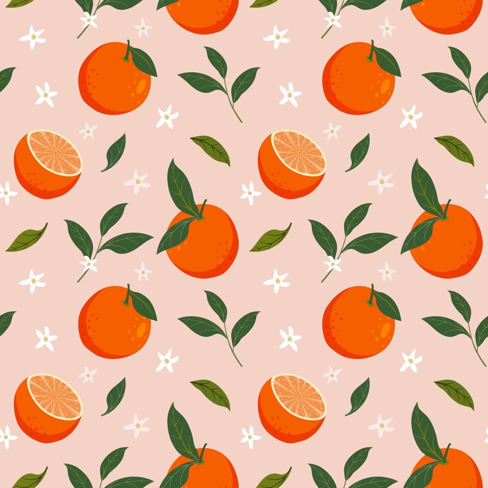 Orange Fruit Background Vector Art, Icons, and Graphics for Free Download