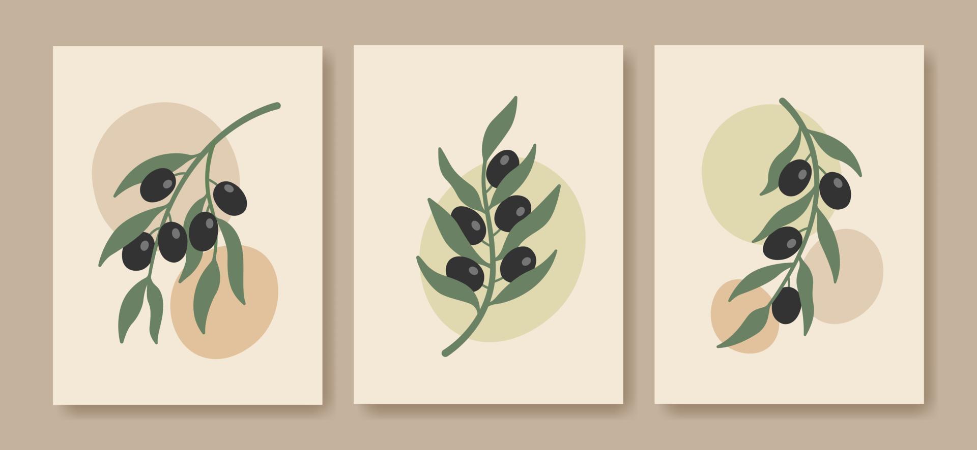 Abstract boho minimalist olive branch posters. Botanical wall art in pastel colors. vector