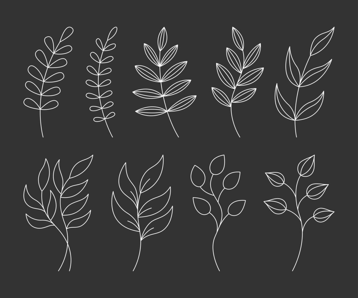 hojas de plantas minimalistas botánicas, ramas en estilo de línea sobre fondo negro. vector