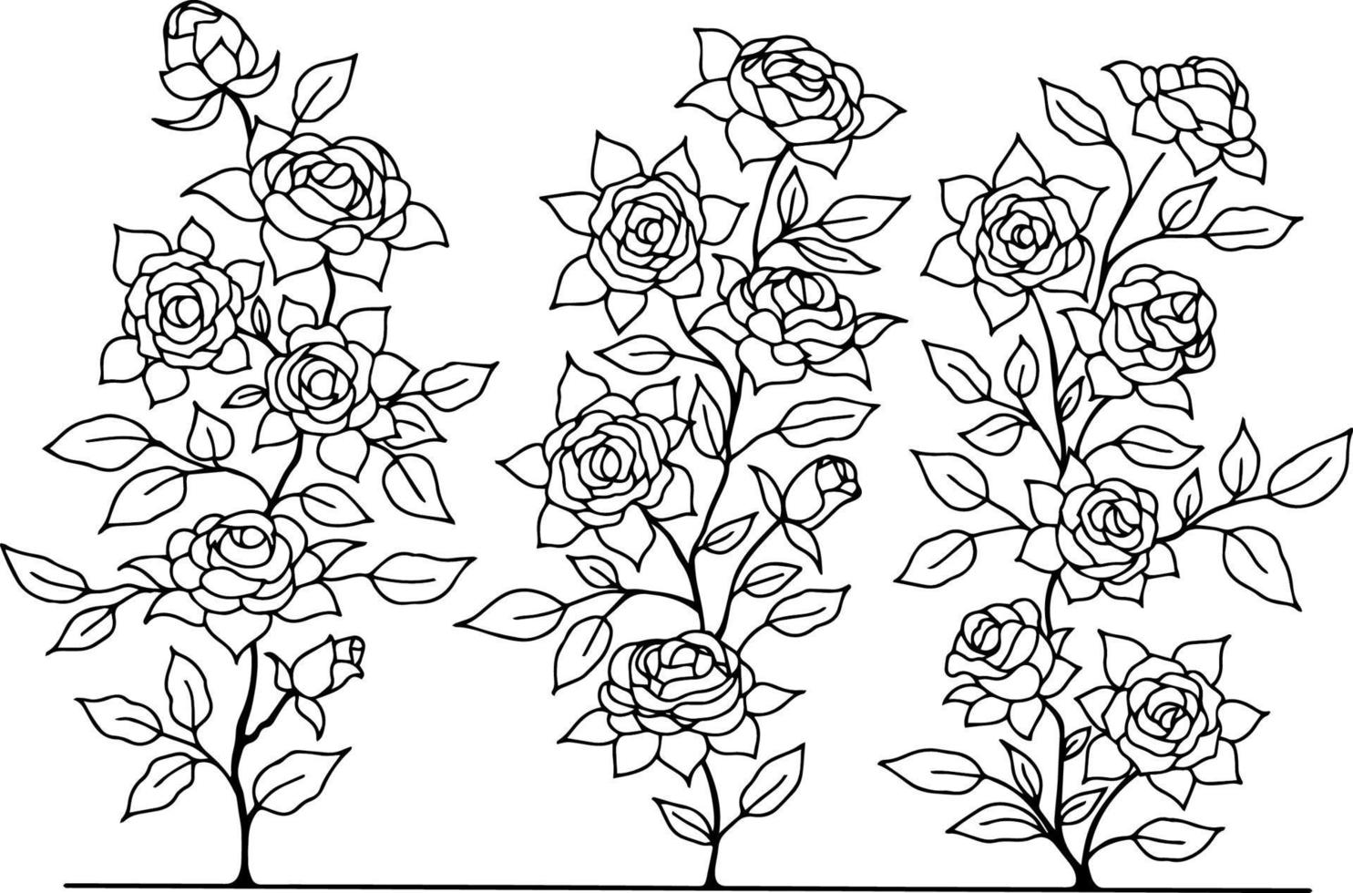 Design Vector Outline Rose Flower