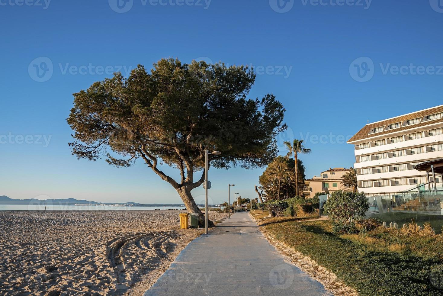 carretera vacía junto al mar en medio de la playa y los edificios de la ciudad contra el cielo azul claro foto