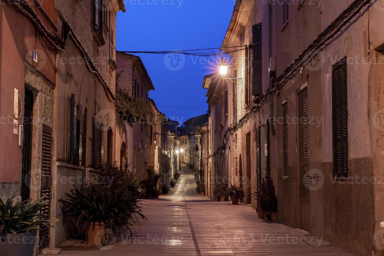 Illuminated empty alley amidst plants and buildings in old town at night photo