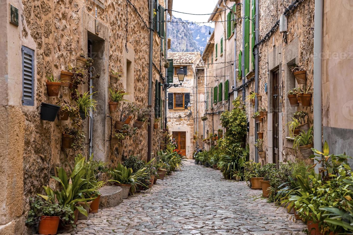 callejón empedrado con plantas en macetas en medio de edificios en el casco antiguo foto